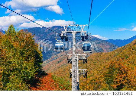 Cable car at Rosa Khutor, Sochi 103121491