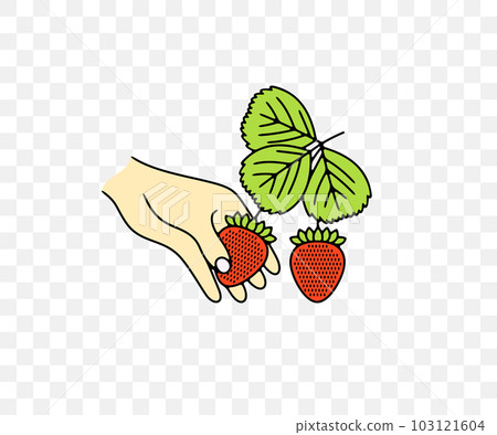 Picking strawberries, strawberry, wild strawberry, plant and food, colored graphic design. Berry, berries, fruit and meal, agriculture and agricultural, vector design and illustration Picking strawberries, strawberry, wild strawberry, plant and food, colored graphic design. Berry, berries, fruit and meal, agriculture and agricultural, vector design and illustration 103121604