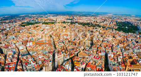 Valencia city aerial panoramic view in Spain Valencia city aerial panoramic view in Spain 103121747