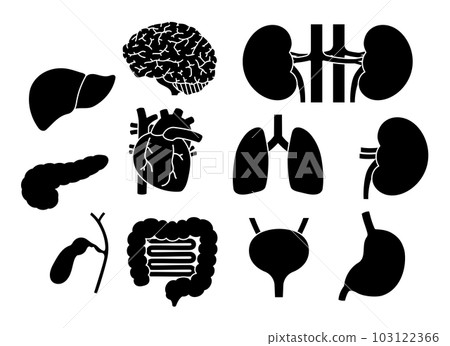 器官剪影集 器官剪影集 103122366