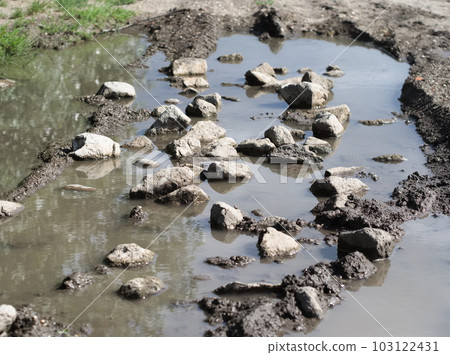 Calm Summer Scene of Rocky Pond Water 103122431