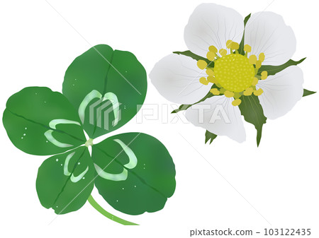 “四葉草”和“野草莓花” “四葉草”和“野草莓花” 103122435