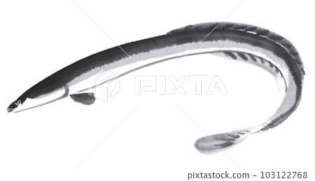 An eel that twists its body 103122768