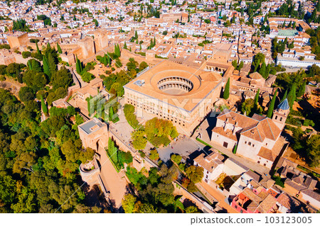 The Alhambra aerial panoramic view in Granada, Spain 103123005