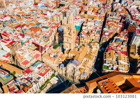 Saint Mary Cathedral aerial panoramic view in Murcia 103123081