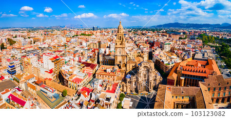 Saint Mary Cathedral aerial panoramic view in Murcia 103123082