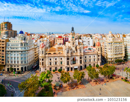 Valencia city aerial panoramic view in Spain Valencia city aerial panoramic view in Spain 103123156