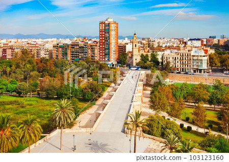 Valencia city aerial panoramic view in Spain Valencia city aerial panoramic view in Spain 103123160
