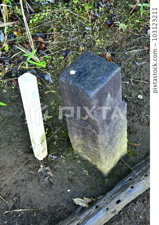 Third Triangulation Point (Nakano Village (7)) Third Triangulation Point (Nakano Village (7)) 103123211