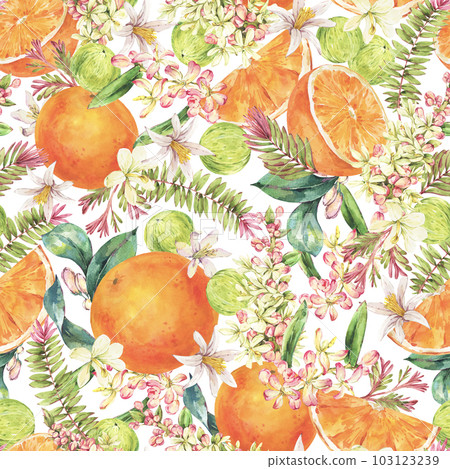 Watercolor Vintage Tropical Summer Fruit Seamless Pattern Orange on White Watercolor Vintage Tropical Summer Fruit Seamless Pattern Orange on White 103123239