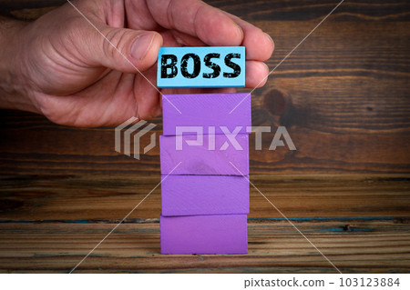 Boss Concept. Colorful blocks in a pile on a wooden texture background 103123884