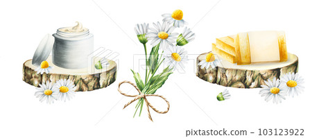 Watercolor natural handmade soap and cream with chamomile on a wooden saw cut isolated on white background. Bouquet of daisies. Beauty products and botany elements, cosmetology and medicine. For 103123922