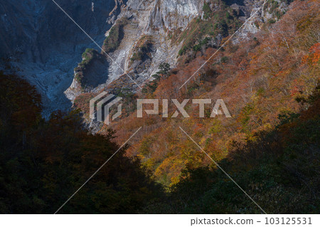 谷川山倉澤一野的秋葉 谷川山倉澤一野的秋葉 103125531