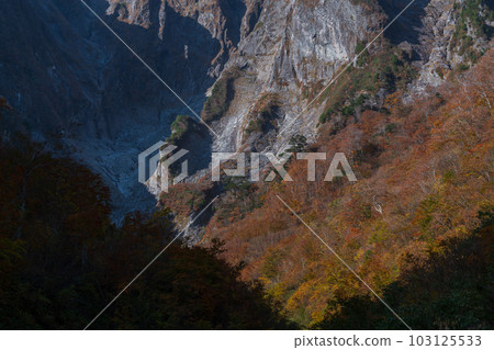 谷川山倉澤一野的秋葉 谷川山倉澤一野的秋葉 103125533
