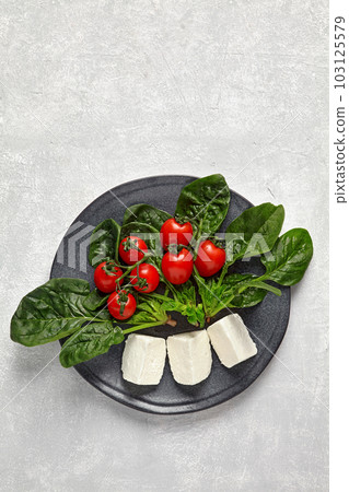 Cherry tomatoes on a branch with spinach and mozzarella cheese on a ceramic gray plate on a light stone table Cherry tomatoes on a branch with spinach and mozzarella cheese on a ceramic gray plate on a light stone table 103125579