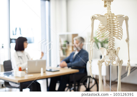 Skeleton model in doctor's office during patient's checkup Skeleton model in doctor's office during patient's checkup 103126391