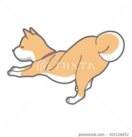 Vector illustration of a growing Shiba Inu Vector illustration of a growing Shiba Inu 103126852