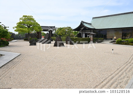 Cheongju Castle/Castle Tour 103128516