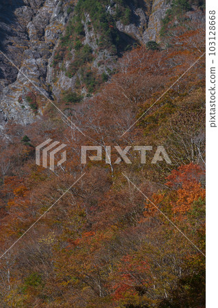 谷川山倉澤一野的秋葉 103128668