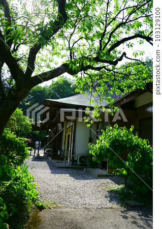 4610 秩父觀音聖地 No.6 Fudasho Koyosan Bokuunji 103129100