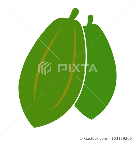 papaya logo vektor papaya logo vektor 103129260