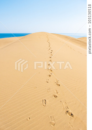 Tottori sand dunes Tottori sand dunes 103130518