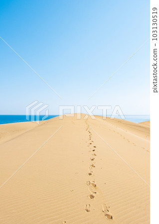 Tottori sand dunes Tottori sand dunes 103130519