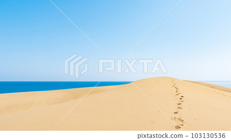 Tottori sand dunes Tottori sand dunes 103130536