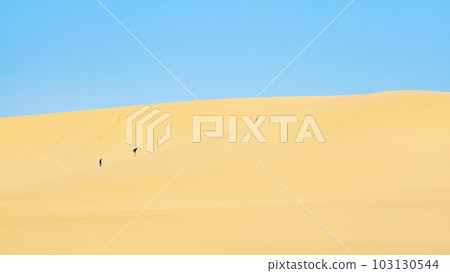 鳥取沙丘 103130544