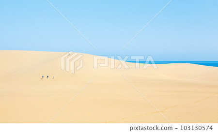 Tottori sand dunes 103130574