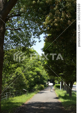 走在初夏森林的長廊 103131010