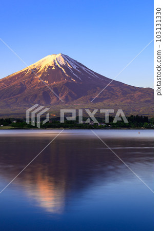山梨縣河口湖,倒掛的富士山被晨光染成的絕景 山梨縣河口湖,倒掛的富士山被晨光染成的絕景 103131330