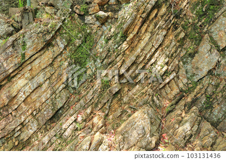 Kinkasan/Gifu Castle Chart Kinkasan/Gifu Castle Chart 103131436