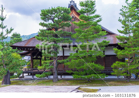 Summer in Saga-Arashiyama, Kyoto Daikakuji Shinden, surrounded by lush greenery 103131876