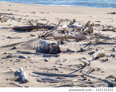 A large amount of driftwood on the beach. A large amount of driftwood on the beach. 103132281