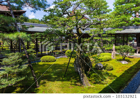 Summer in Kyoto Saga-Arashiyama Daikakuji temple area with lush greenery 103132921