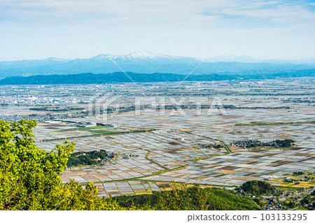Paddy landscape where rice planting has started 103133295
