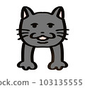 loose black hanging cat 103135555