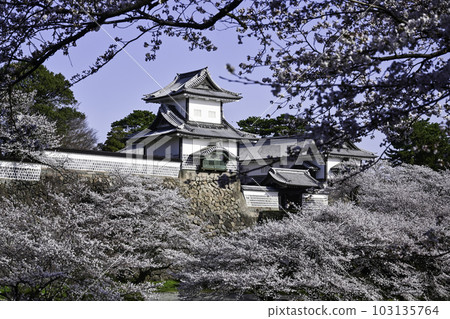 櫻花盛開的金澤城公園 103135764