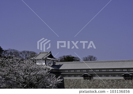 櫻花盛開的金澤城公園 103136856