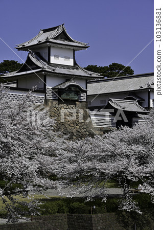 Kanazawa Castle Park with beautiful cherry blossoms in full bloom 103136881