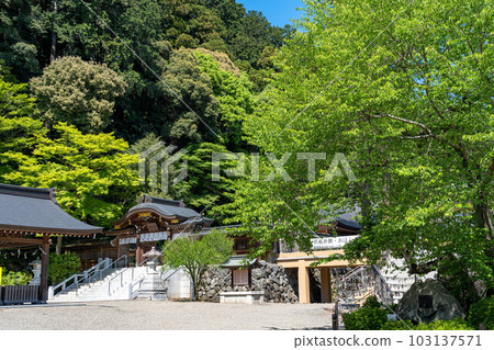 高麗神社境內的新綠 高麗神社境內的新綠 103137571