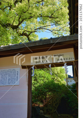 新熊野神社角台權現參拜入口（京都市東山區） 103137662
