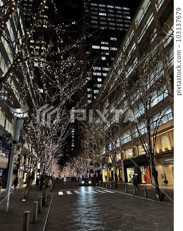 Marunouchi Naka Dori Marunouchi Naka Dori 103137679