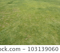Lawn 103139060