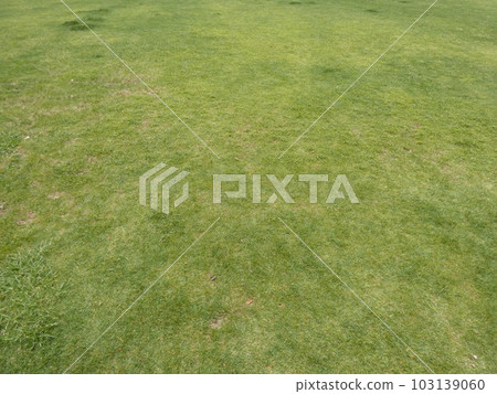 草坪 103139060