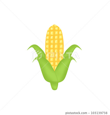 Corn on the cob 103139738