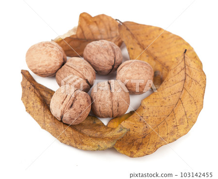 Fresh ripe Walnut with dried leaves isolated on a white background. 103142455