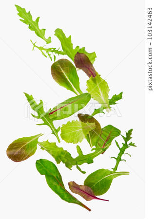 Green lettuce salad leaves pouring down isolated on white background 103142463