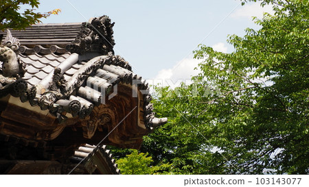 岐阜縣大垣市妙淨林寺 岐阜縣大垣市妙淨林寺 103143077